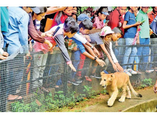 Dehiwala Zoological Gardens Colombo’s Premier Wildlife Attraction in Dehiwala