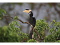 wilpattu-national-park-explore-sri-lankas-untamed-wilderness-in-puttalam-small-2