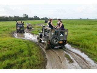 Wilpattu National Park, Explore Sri Lanka’s Untamed Wilderness in Puttalam