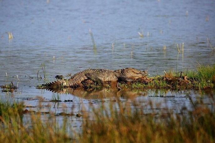 wilpattu-national-park-explore-sri-lankas-untamed-wilderness-in-puttalam-big-3