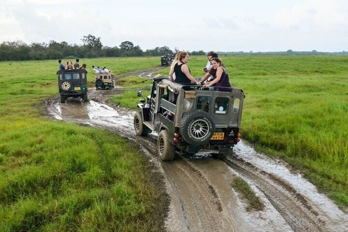 wilpattu-national-park-explore-sri-lankas-untamed-wilderness-in-puttalam-big-0