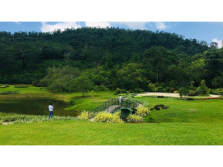 Seethawaka Wet Zone Botanical Gardens, A Verdant Retreat in Sri Lanka’s Rainforest in Awissawela