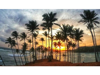 Coconut Tree Hill, A Picturesque Coastal Landmark in Mirissa