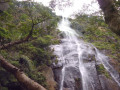 diyaluma-falls-sri-lankas-majestic-two-tiered-waterfall-in-badulla-small-2