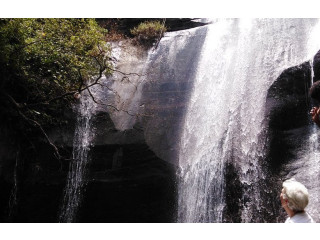 Bambarakanda Falls: Sri Lanka’s Highest Waterfall in the Hill Country