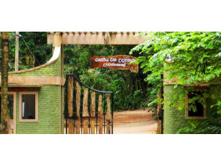 Udawatta Kele Sanctuary, Colombo’s Urban Forest Retreat in kandy