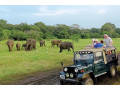 minneriya-national-park-sri-lankas-elephant-gathering-haven-in-minneriya-small-2