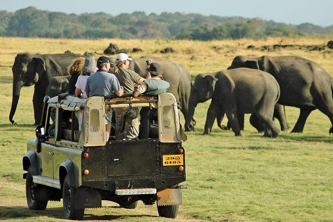 minneriya-national-park-sri-lankas-elephant-gathering-haven-in-minneriya-big-0