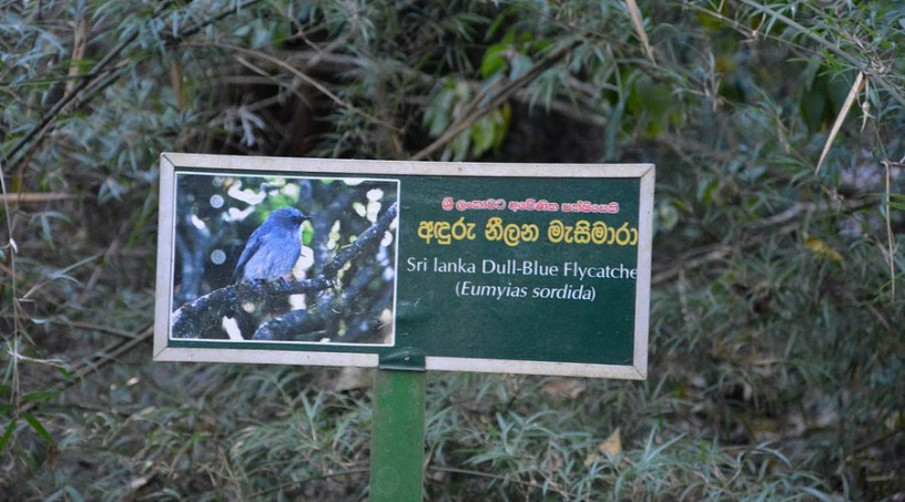 discovering-galways-land-national-park-a-haven-of-natural-beauty-and-biodiversity-in-nuwaraeliya-big-1