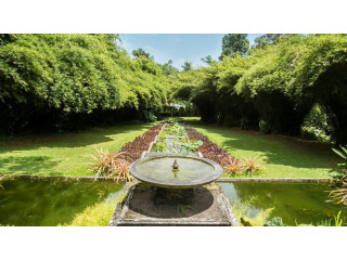 Brief Garden: Bevis Bawa's Masterpiece of Tropical Elegance in Bentota