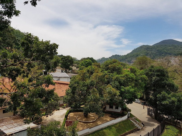 old-royal-palace-a-glimpse-into-sri-lankas-regal-past-in-kandy-big-0