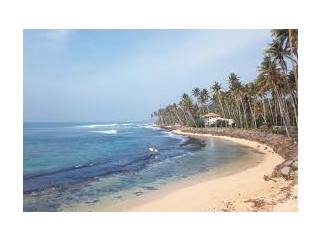 Madiha Beach, A Hidden Gem on Sri Lanka's Southern Coast in Matara