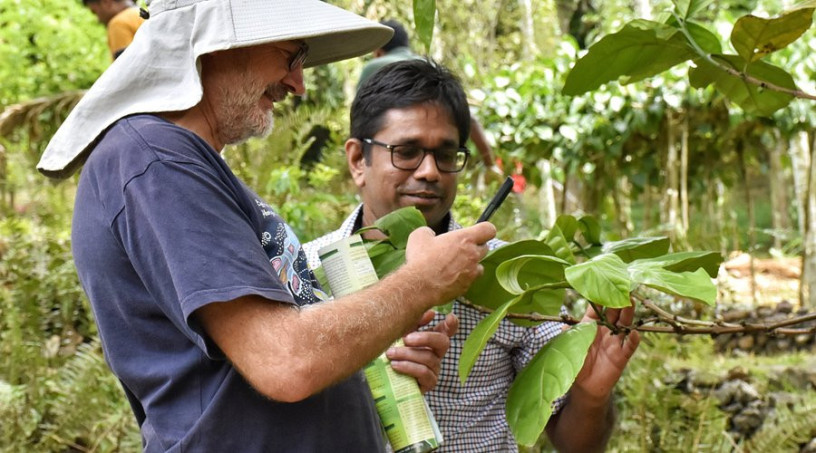 national-spice-garden-immersive-spice-experience-in-sri-lanka-in-matala-big-2