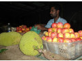 jaffna-market-vibrant-hub-of-local-life-and-culture-in-jaffna-small-2