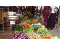 jaffna-market-vibrant-hub-of-local-life-and-culture-in-jaffna-small-3