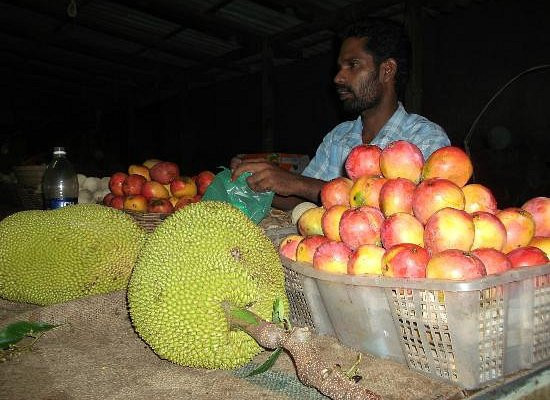 jaffna-market-vibrant-hub-of-local-life-and-culture-in-jaffna-big-2