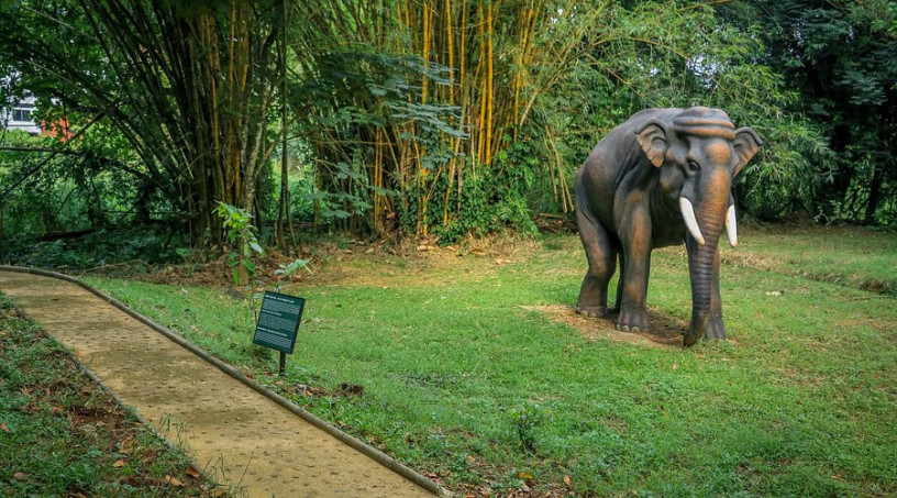 rathnapura-national-museum-discover-sri-lankas-gem-heritage-in-ratnapura-big-3