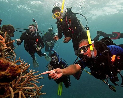 scuba-diving-in-sri-lanka-exploring-underwater-wonders-in-hikkaduwa-big-1