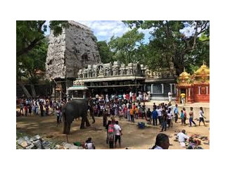 Kataragama, A Sacred Pilgrimage Destination in Sri Lanka