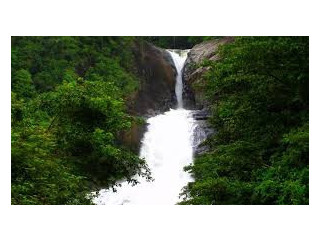 Bopath Ella: Embrace the Natural Splendor of Sri Lanka’s Enchanting Waterfall in Ratnapura