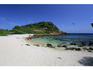 Explore the Vibrant Wonders of Pigeon Island National Park, A Marine Paradise in Sri Lanka in Tricomalee