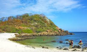 explore-the-vibrant-wonders-of-pigeon-island-national-park-a-marine-paradise-in-sri-lanka-in-tricomalee-big-2