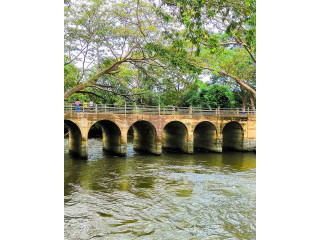 Giant’s Tank (Vankalai Tank): A Majestic Reservoir of History and Nature