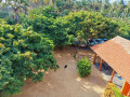 dolphin-village-adults-only-seaside-homestay-with-open-air-bath-garden-and-dining-in-alankuda-small-4