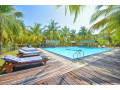 de-silva-palmresort-your-seaside-sanctuary-in-kalpitiya-small-2