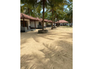 Sea Sand Resort: Your Coastal Haven in Kalpitiya