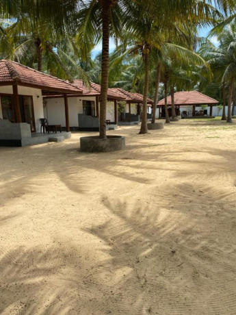 sea-sand-resort-your-coastal-haven-in-kalpitiya-big-0