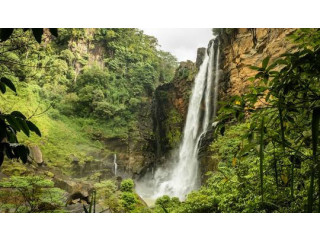 Laxapana Falls: A Majestic Waterfall in Sri Lanka