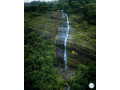 exploring-rikille-ella-waterfall-a-hidden-treasure-in-sri-lanka-small-0