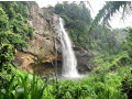 discover-the-majestic-aberdeen-falls-a-hidden-gem-in-sri-lanka-small-3