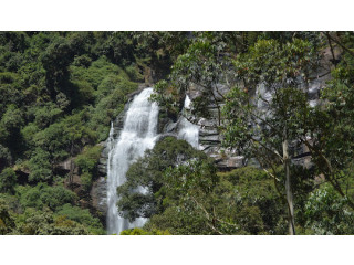 Experience the Majestic Bomburu Ella: A Sri Lankan Waterfall Wonderland