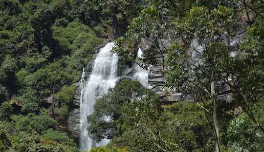 experience-the-majestic-bomburu-ella-a-sri-lankan-waterfall-wonderland-big-0