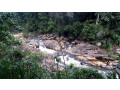 ethamala-falls-a-hidden-jewel-in-sri-lankas-highlands-small-3