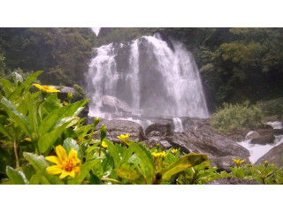 Galboda Ella: A Serene Waterfall in Sri Lanka's Rainforest