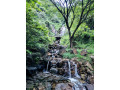 mahakandura-falls-a-hidden-waterfall-jewel-in-sri-lanka-small-2