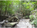 seetha-kotuwa-falls-a-hidden-waterfall-treasure-in-sri-lanka-small-3