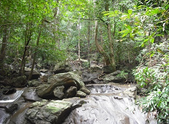 seetha-kotuwa-falls-a-hidden-waterfall-treasure-in-sri-lanka-big-3