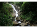 surathali-falls-a-tranquil-waterfall-retreat-in-sri-lankas-wilderness-small-0