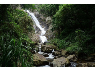 Surathali Falls: A Tranquil Waterfall Retreat in Sri Lanka’s Wilderness