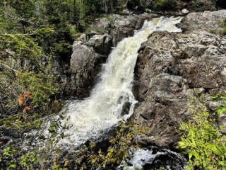 Windsor Forest Falls: A Scenic Waterfall Escape in Sri Lanka’s Highland Wilderness