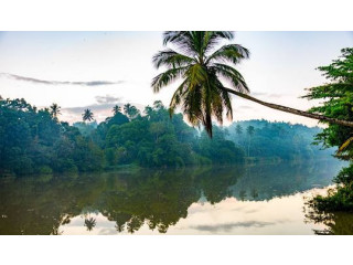 The Majestic Mahaweli River: Sri Lanka’s Lifeline and Scenic Marvel