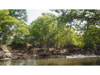 Malvathu River: A Serene Waterway in Sri Lanka’s Cultural Heartland