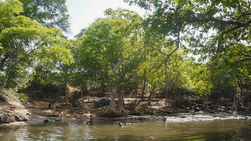 malvathu-river-a-serene-waterway-in-sri-lankas-cultural-heartland-big-0