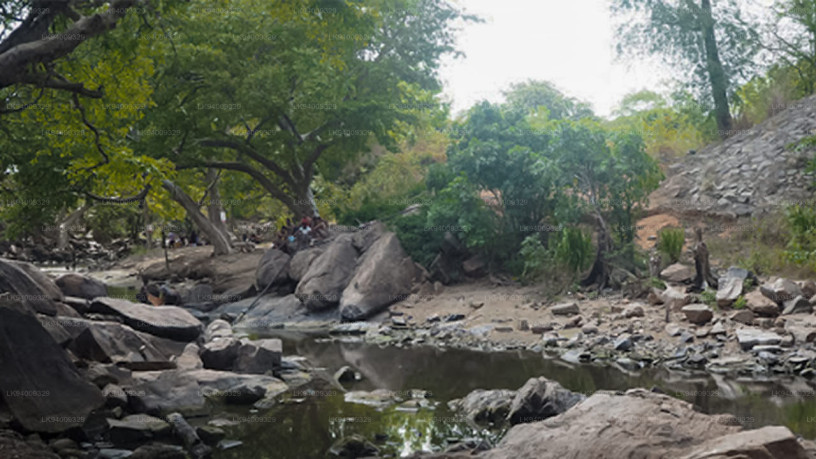 malvathu-river-a-serene-waterway-in-sri-lankas-cultural-heartland-big-1