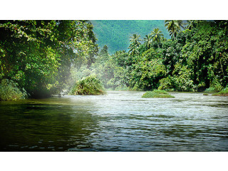 Kelani River: Sri Lanka’s Scenic Waterway and Vital Lifeline