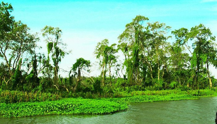 walawe-river-experience-the-majestic-beauty-of-sri-lankas-hidden-oasis-big-2